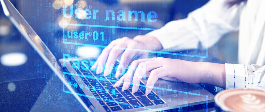 計算機科學與技術專業職業路徑 聚焦網絡技術服務領域