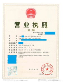 上海注冊非中介留學(xué)服務(wù)公司 類別、經(jīng)營范圍與票務(wù)代理指南