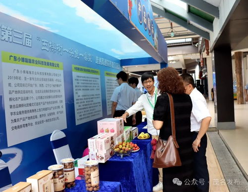 茂名鄉村振興出圈出彩，茂湛高速服務區變身農特產墟市與票務代理服務
